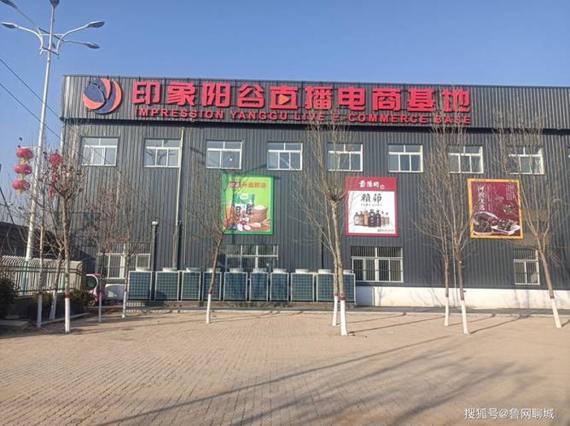 阳谷县网站建设